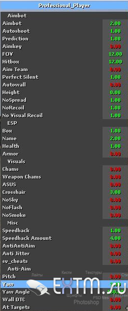 Чит Professional Player для CSS V34